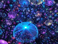 -梵高星空艺术馆(北京旗舰店)