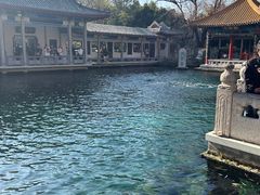 -趵突泉景区
