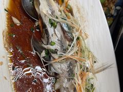 -宝荣鱼馆·临湖之宴(千岛湖店)