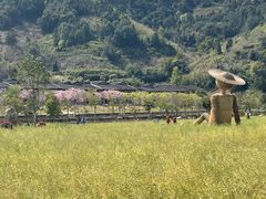 -福建土楼（华安）旅游区•大地土楼群