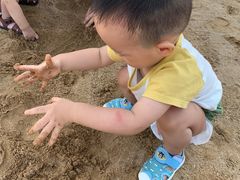 -碧海金沙
