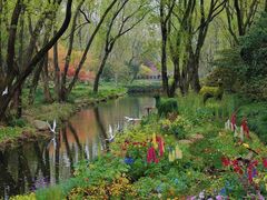 -上海共青森林公园