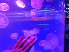 -洛阳龙门海洋馆