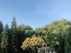 -晓港公园