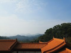 -深圳仙湖植物园