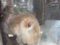 -御宝贝24h宠物医院·转诊中心·CT核磁血透中心(厦门总院)