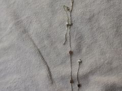 -纽斯桑拿会所(天山店)