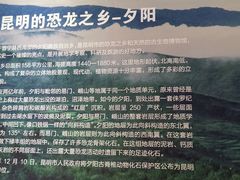 -昆明市博物馆(昆明市文物保护和考古研究中心)