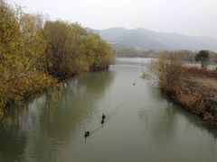 -长兴太湖图影湿地文化园