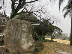 -江心屿景区