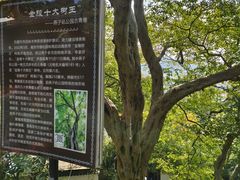 -幕燕滨江·燕子矶公园