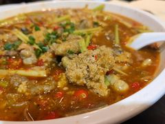 -不炭白烧烤(成都首店)
