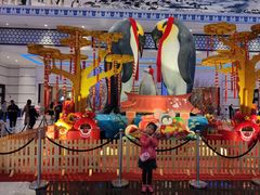 -帝企鹅自助餐厅•儿童岛•真企鹅(长隆企鹅酒店)