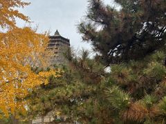 -玲珑塔公园