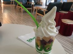 -Salud撒露欧洲冻酸奶(798艺术区店)
