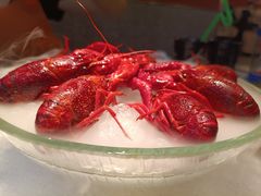 经典冰镇龙虾-红盔甲·小龙虾(天钥桥店)