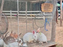 -云栖山谷野奢营地