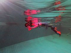 -重庆市奥林匹克体育中心-游泳跳水馆