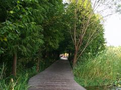 -溱湖国家湿地公园