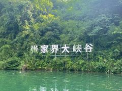 -富正毅三下锅·湘西韵味(天门山索道店)