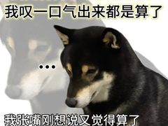 -月龍吟(朝龙汇店)