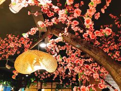 -香坝坝鲜鱼火锅(春熙路店)