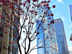 -初禾Film·Apartment(深圳福田岗厦地铁站店)