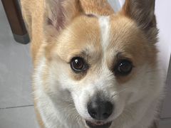 -布莉安石窑面包(中山路店)