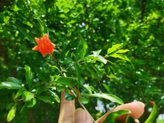 -一澜江宴·江景地标楚菜(江滩公园店)