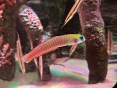 -沈阳海洋探索中心