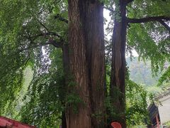 -潭柘寺景区