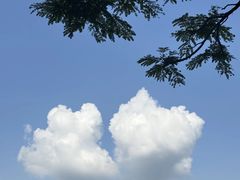 -东莞植物园