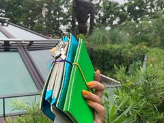 -三鹰之森吉卜力美术馆