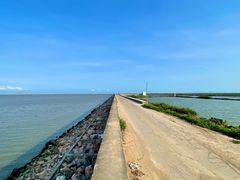 -大湾区中央湿地公园