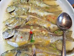 -百年银屏蚝烙·潮汕菜·非遗(乐山店)