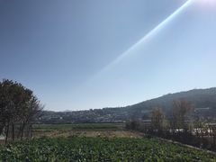 -腾冲和顺柏联酒店