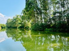 -江门古劳水乡旅游区