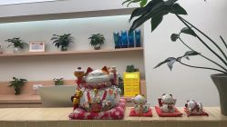 点击看大图 -七色田儿童摄影(静安店)