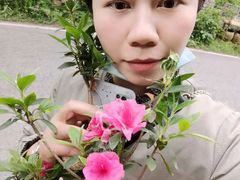 -木兰云雾山