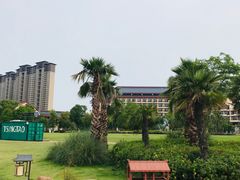 -天屿湖