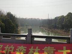 -上海海湾国家森林公园