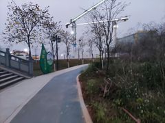 -长洲岛