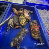 芭提雅这家海鲜自助给我冲！