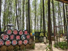 -林间山庄
