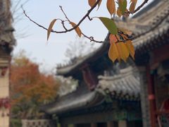 -崂山仰口游览区