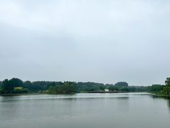 -东郊湿地公园