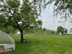 -潭柘厚院(桑峪村店)