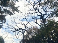 -杭州植物园