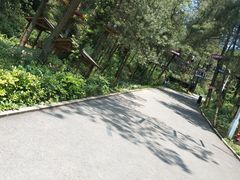 -梦幻奥陶纪景区