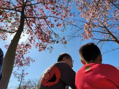 -风云岭森林公园